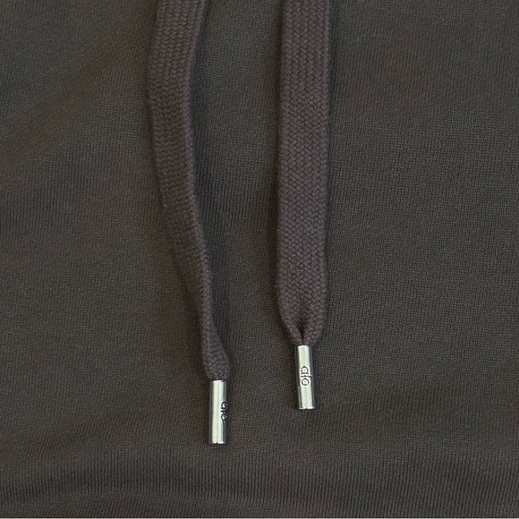 NWT Alo Accolade Hoodie In Espresso Size XS - Picture 5 of 9